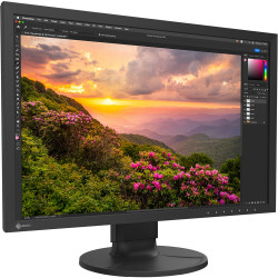 EIZO ColorEdge CS2400S Monitor