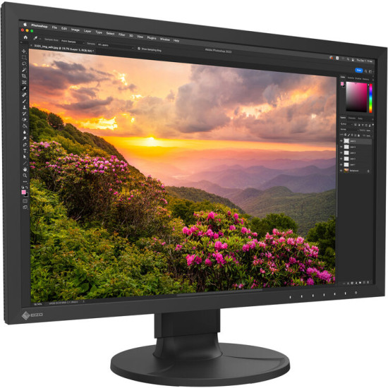EIZO ColorEdge CS2400S Monitor
