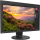 EIZO ColorEdge CS2400S Monitor