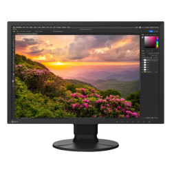 EIZO ColorEdge CS2400S Monitor