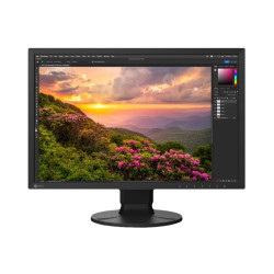 EIZO ColorEdge CS2400S Monitor