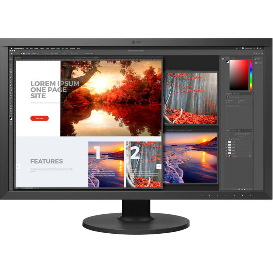 EIZO ColorEdge CG3100X 30.5" DCI 4K HDR Monitor